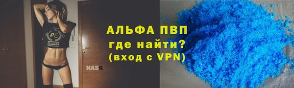 стаф Алзамай