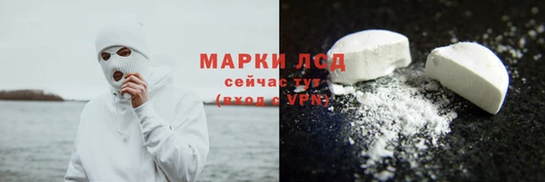 стаф Алзамай