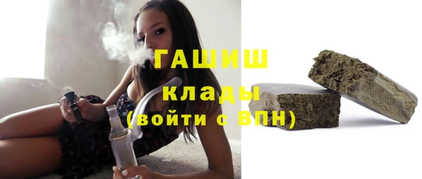стаф Алзамай
