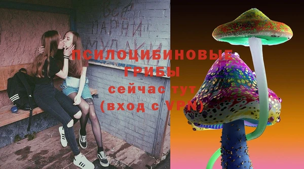 стаф Алзамай