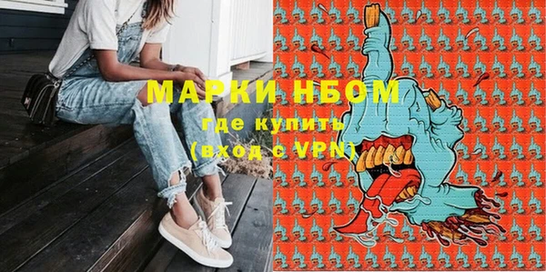 стаф Алзамай