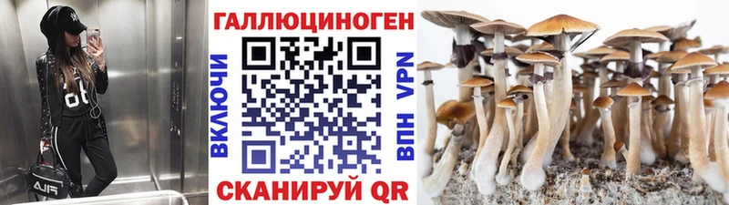Купить  Бахчисарай  Галлюциногенные грибы Magic Shrooms 